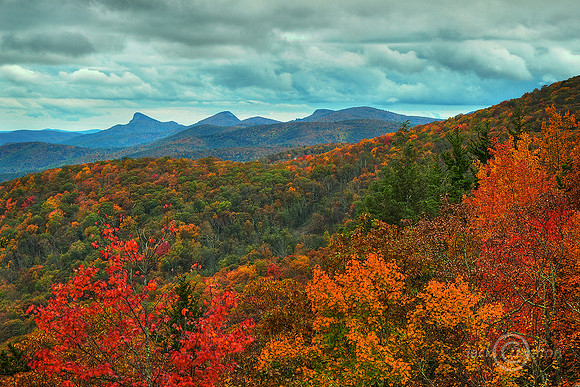 DSC_6618_6_7HDR1 JDA LRC2
