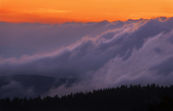 Smokies1 A