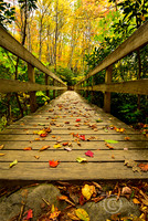 BooneForkBridgeJDA LRC