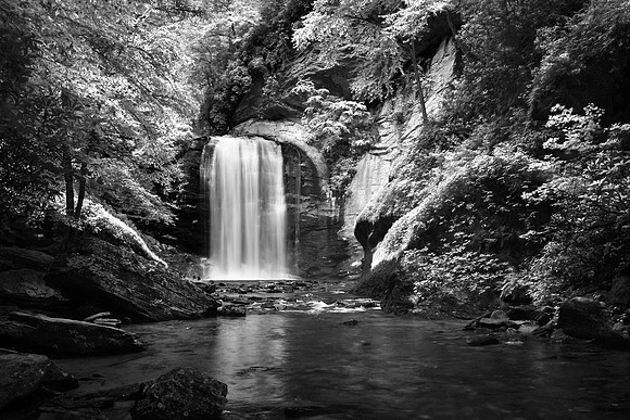 _7502826JDA2bw