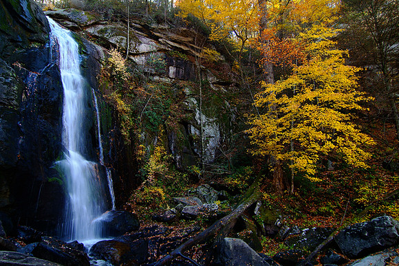 Sth Mtn St park o8 (53) A