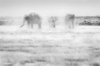 _DSC4449JDA3