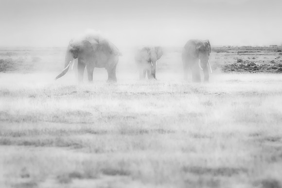 _DSC4449JDA3
