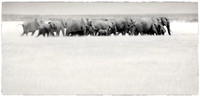 _DSC4417JDAbw2