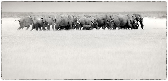 _DSC4417JDAbw2