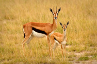 _DSC4176JDA