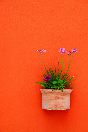 _DSC9150JDA - Copy