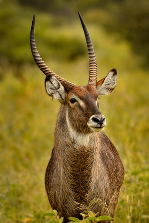 _DSC5767JDA