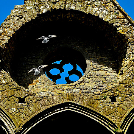 Rock of Cashel, Cashel, Ireland (72)