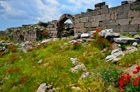 Pergamon, TKY (6)JDA LRC
