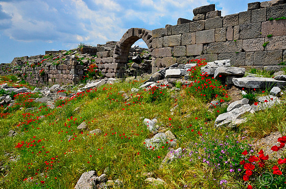 Pergamon, TKY (6)JDA LRC