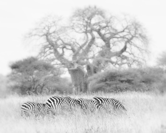 _DSC5619JDA