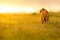 _DSC4764JDA4