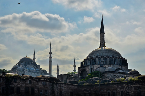 Istanbul, Turkey (473)JDA LRC