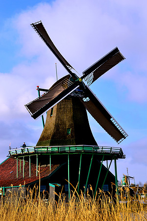 _DSC1076JDA