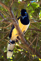 IMG_6942JDALRC