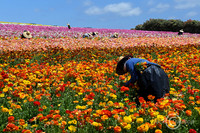 DSC_3973JDALRC