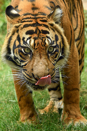 DSC_6526JDA LR