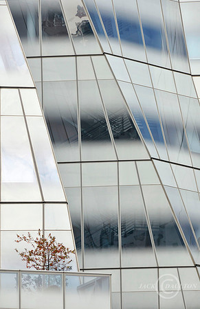 _DSC6837JDALRC