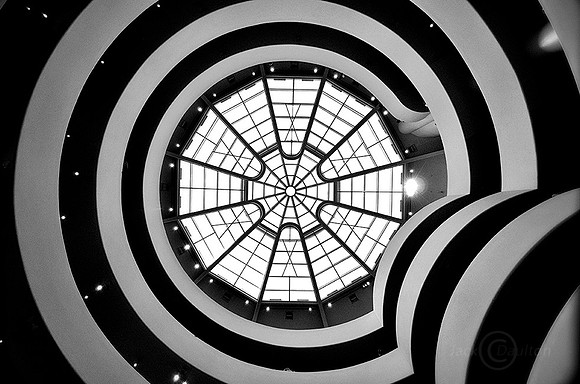 _DSC9118JDALRC