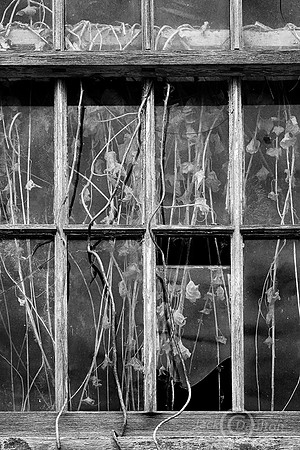 _7508936JDA2bw2LRC