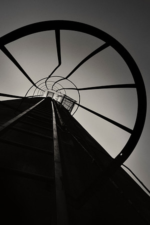_DSC3594JDAbw2