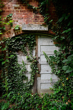 _DSC3068JDALRC