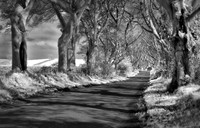 Dark Hedges, N_71-73 HDRJDA IR2