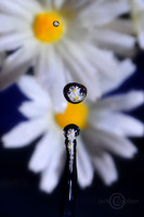 DSC_6106 JDALRC