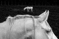 _7501754JDA bw2 LRC2