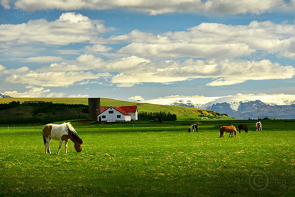 Horse Farm2, Iceland JDA LRC