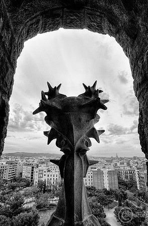 _DSC3537_8_9HDRJDA LRC