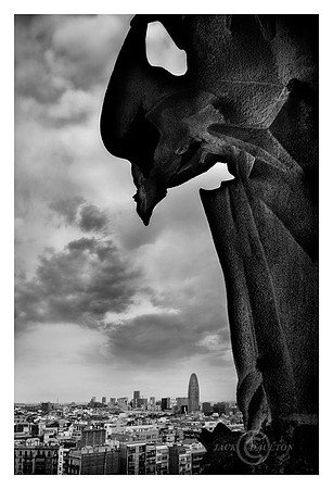 SagradaFamiliaBirdJDAbw4LRC