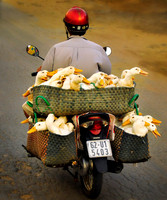 1 Vietnam (538)3