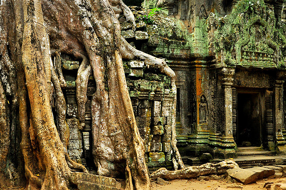 3 Cambodia (281)jdA