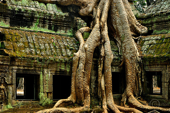 3 Cambodia (378) JDA LRC2
