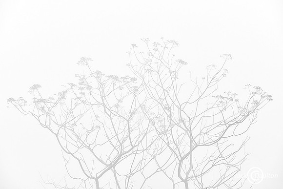 _7505113JDA2LRC