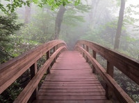 North Carolina