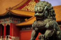 Temple&Lion A