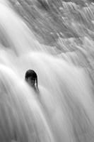 DSC_6969JDA3 BW