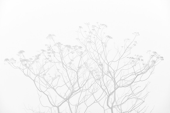 _7505113JDA2