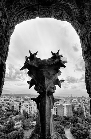 _DSC3537_8_9HDRJDA