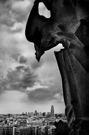 SagradaFamiliaBirdJDAbw3
